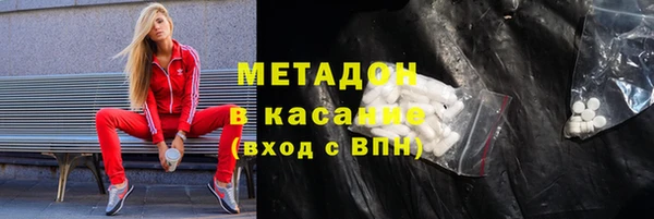прущие грибы Алзамай