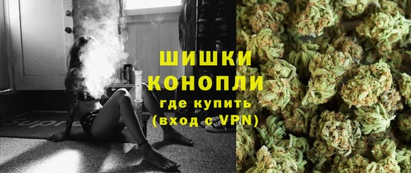 прущие грибы Алзамай