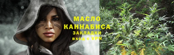 прущие грибы Алзамай