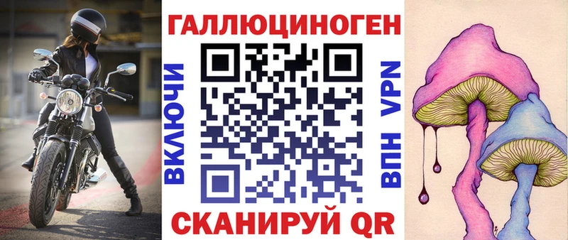 где найти   Тамбов  Псилоцибиновые грибы GOLDEN TEACHER 