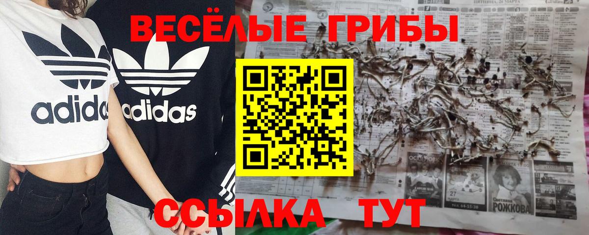 COCAIN  Гашиш  Тамбов  Меф МЯУ МЯУ   Alpha PVP СК кристаллы  МАРИХУАНА  Вход с VPN  MDMA  Метамфетамин 