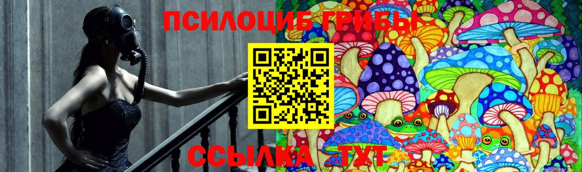 Галлюциногенные грибы MAGIC MUSHROOMS Тамбов