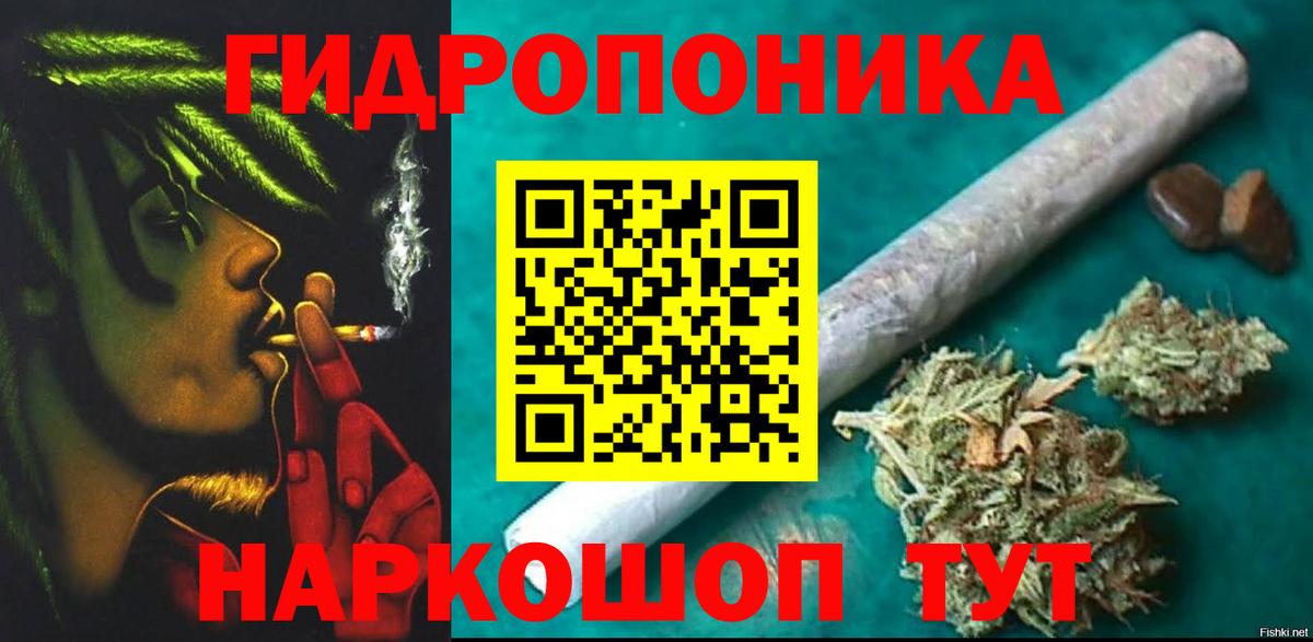 Конопля ГИДРОПОН  МАРИХУАНА ГИДРОПОН  Вход с VPN  Тамбов 
